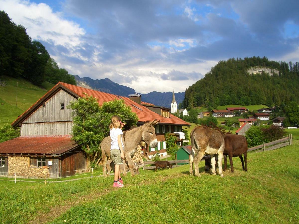 Apartamento Haus Willi Oberstdorf Exterior foto